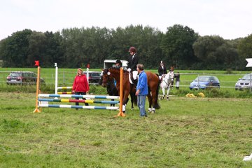 Bild 1331 - WBO-Turnier am 18.9.11